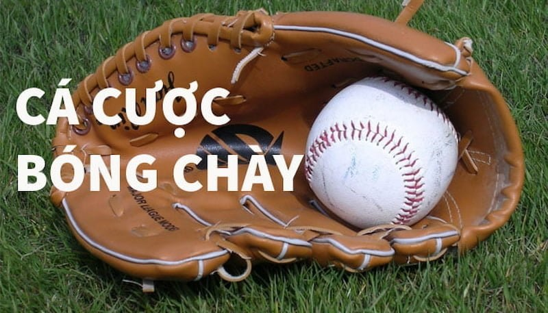 cá cược bóng chày Chinese Professional Baseball League